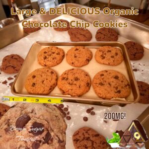 Buy Delta 9 Choco Chip Cookies