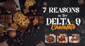 7 Irresistible Reasons to Try Delta-9 Chocolate