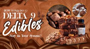 How Long Does Delta-9 Chocolates Stay in Your System?