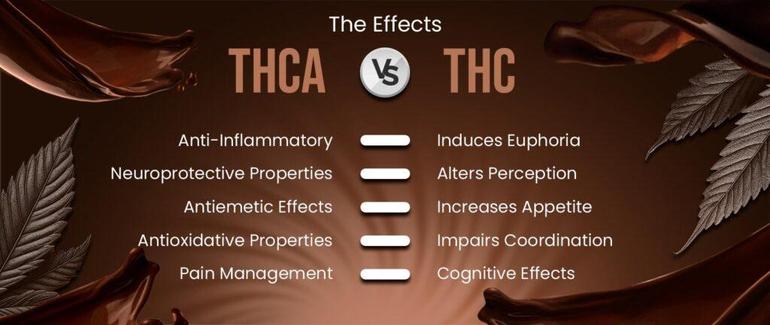 Comparing The Effects- THCA Vs THC