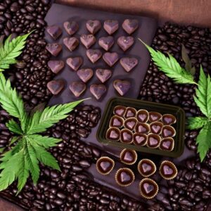 Delta-9 Nano Dark Chocolate, Organic 100mg Chocolate Bon Bons, Chocolate Cordials