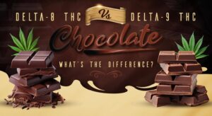 Delta-8 THC Vs. Delta-9 THC Chocolates: What’s The Difference?