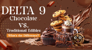 Delta 9 Chocolate vs. Traditional Edibles: What’s the Difference?