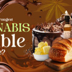 What is the Strongest Cannabis Edible Available?