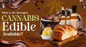 What is the Strongest Cannabis Edible Available?