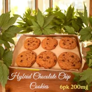 Delta-9 Giant Chocolate Chip Cookies, 6 Infused 200mg