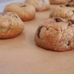 Delta-9 Chocolate Chip Cookies Organic Hybrid 50mg Delta 9 6pk