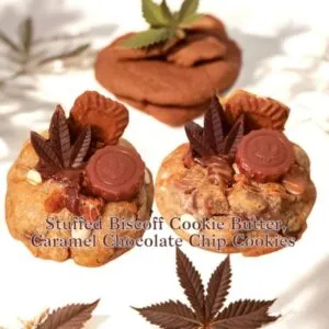 Delta-9 Chocolate Chip Cookie, 250mg Infused Giant Cookie