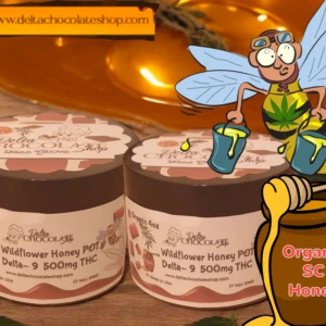 Delta-9 Organic Honey, 4oz Infused Wildflower Honey