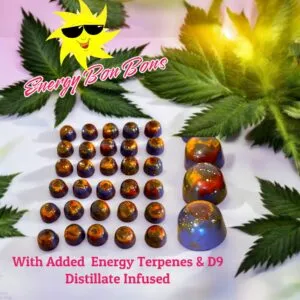 Delta-9 50mg Energy Chocolates, Organic Terpene Enhanced Chocolate Bon Bons