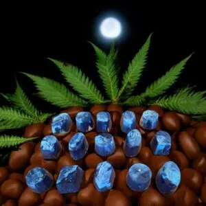 Delta-9 Night Chocolates, Live Rosin Terpene Enhanced Chocolate Bon Bons
