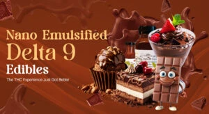 Nano Emulsified Delta 9 Edibles – The THC Experience Just Got Better