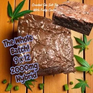 Delta 9 Large Brownies, 4pk Organic Dark Espresso Brownies