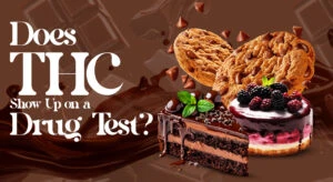 Does THC Show Up on a Drug Test?