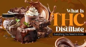 What Is THC Distillate: Everything You Need to Know About