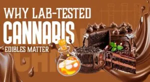 Why Lab-Tested Cannabis Edibles Matter