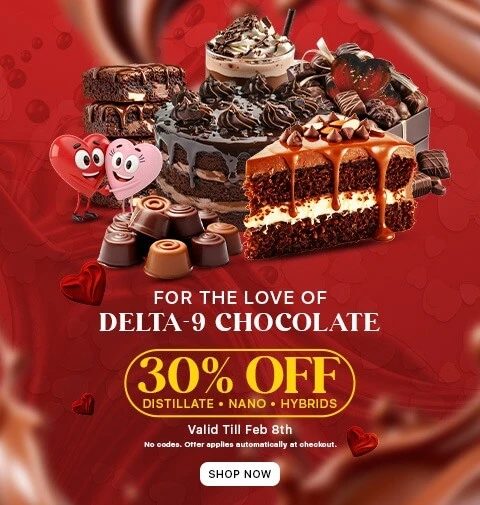 delta-chocolate-2-feb-home-page-banner-mobile